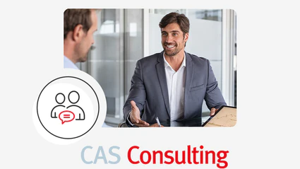 Consulting Mitarbeiter im Kundengespräch