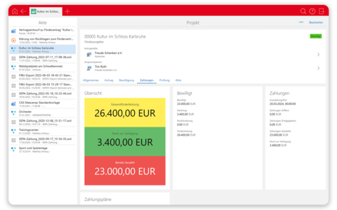 CAS Maecenas Projektmanagement
